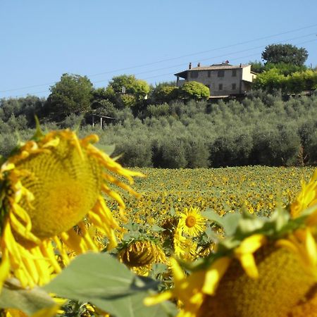 Agriturismo Oliveto Di Geltrude Contessa أميليا المظهر الخارجي الصورة