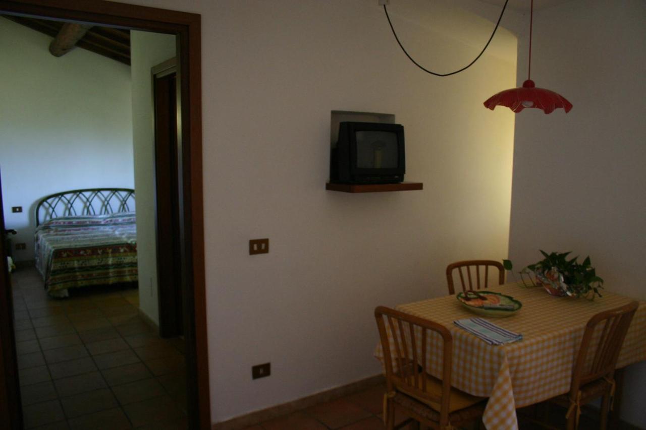Agriturismo Oliveto Di Geltrude Contessa أميليا المظهر الخارجي الصورة
